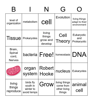 Cells Intro Review 1 Bingo Card