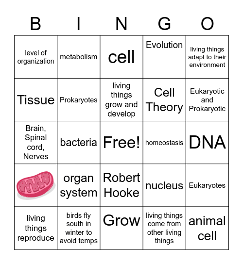 Cells Intro Review 1 Bingo Card
