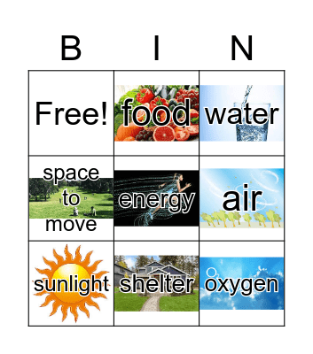 Basic Needs of Living Things Bingo Card