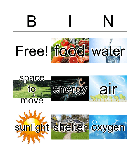 Basic Needs of Living Things Bingo Card