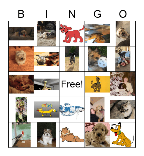 VMG PET BINGO Card