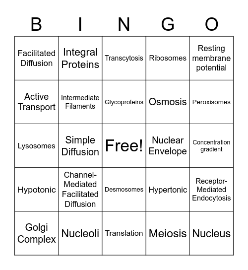 Chapter 3 (Cell) Bingo Card