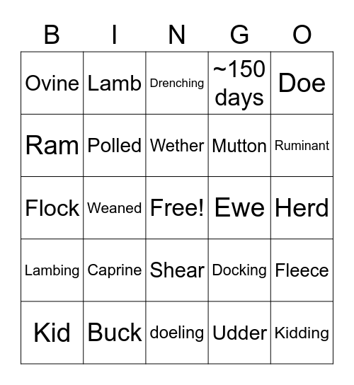 Sheep and Goat Vocab Bingo Card