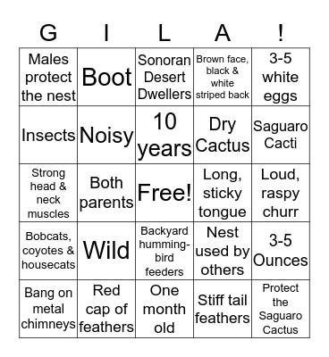 Gila Woodpecker Bingo Card