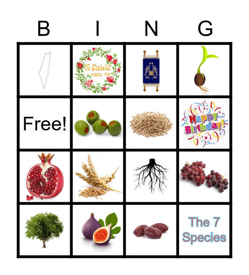 Tu Bshvat Bingo Card