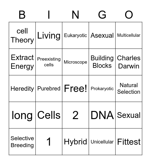 Cell Theory Bingo Card