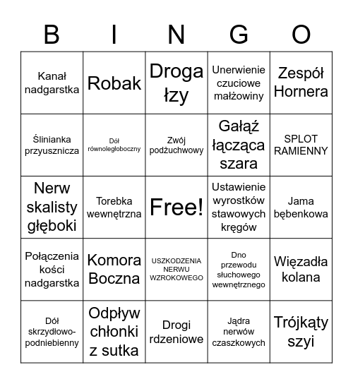 BAJECZNY WYKŁAD NIEZBYTECZNY Bingo Card