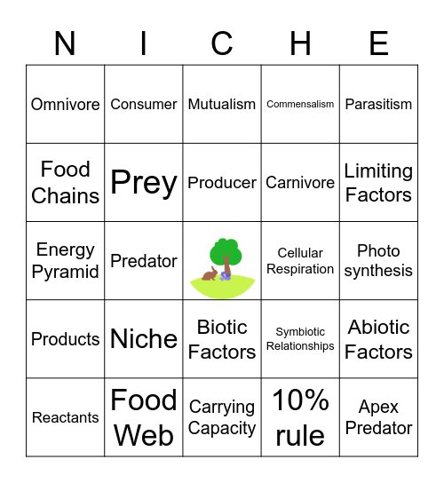 L.S Unit 4 Vocabulary Bingo Card