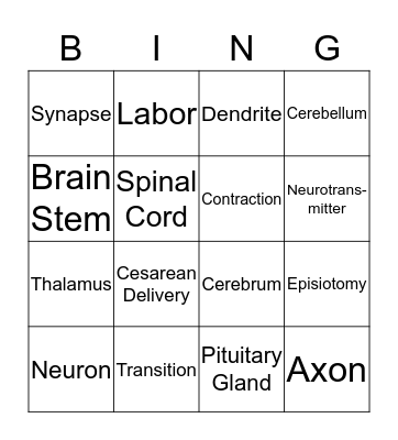 Early Childhood Education Bingo Card