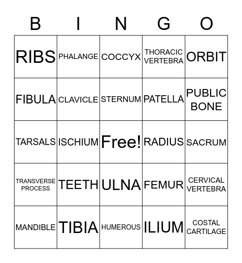 BONE BINGO BONANZA! Bingo Card