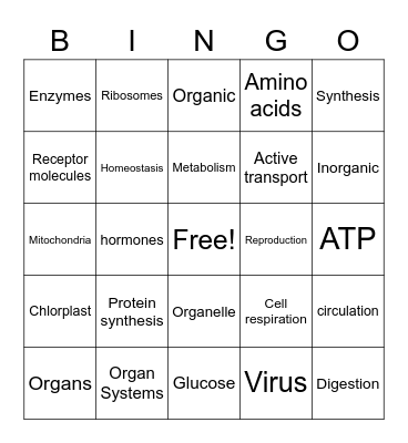 Similarities & Differences Among Organisms Bingo Card