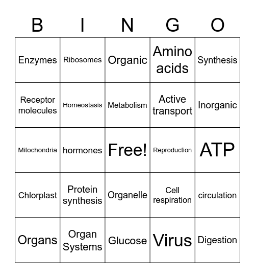 Similarities & Differences Among Organisms Bingo Card