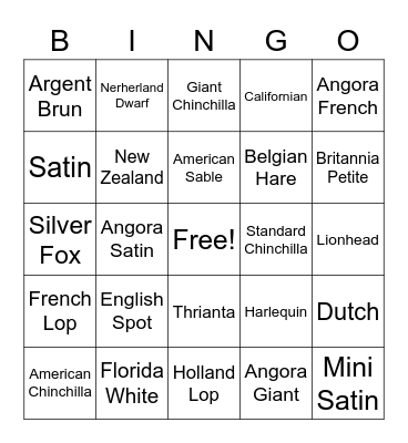 2023 ARBA Breed ID BINGO Card
