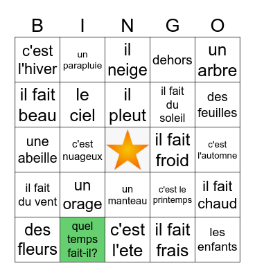 French weather and seasons Bingo Card