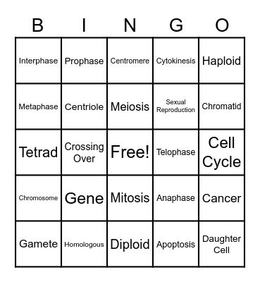 Mitosis & Meiosis <3 Bingo Card