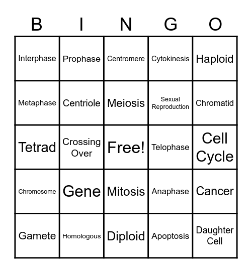 Mitosis & Meiosis <3 Bingo Card