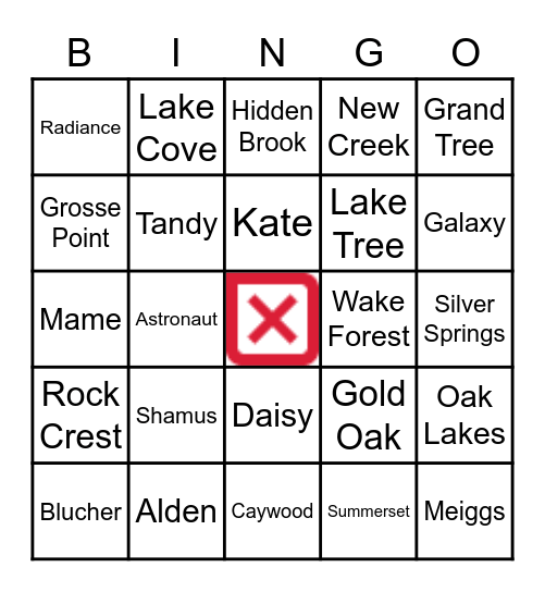 Lakeview Village Open Houses Bingo Card