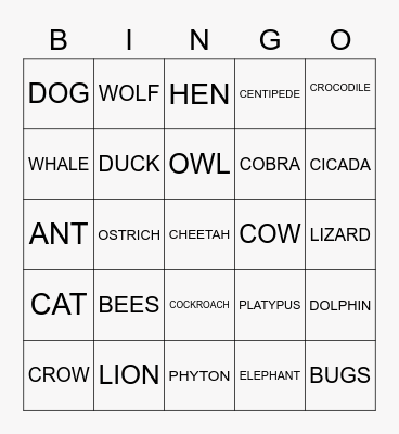 ANIMAL KINGDOM Bingo Card