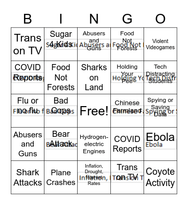 Denominator Neglect Bingo Card