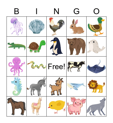 Animals Bingo Card