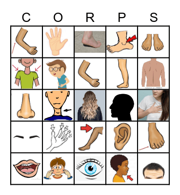 Les parties du corps Bingo Card