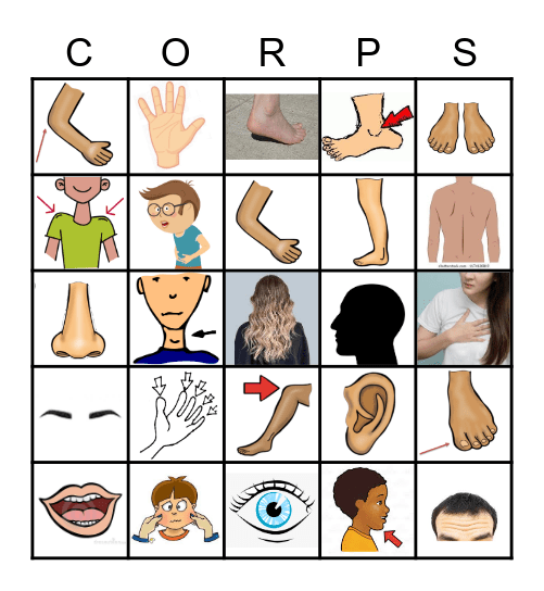 Les parties du corps Bingo Card