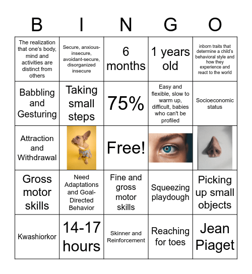 Infancy Review Bingo Card