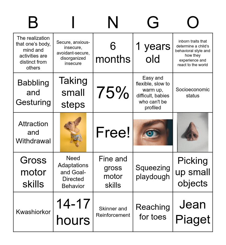 Infancy Review Bingo Card
