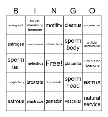 Animal Reproduction Bingo Card