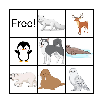 arctic animals Bingo Card