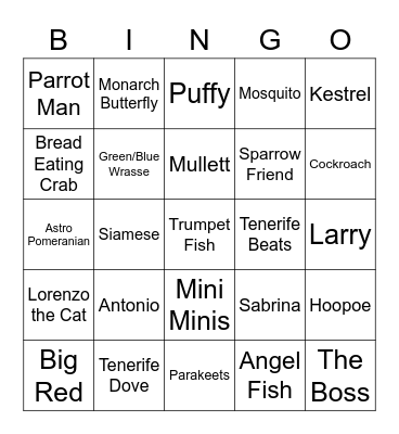 Tenerife Animal Bingo Card