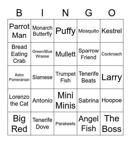 Tenerife Animal Bingo Card