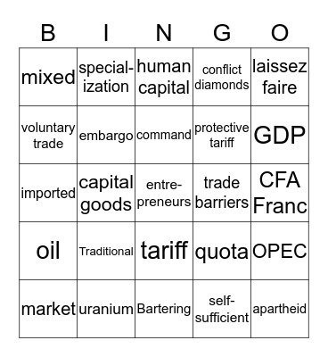 Economics of Africa Bingo Card