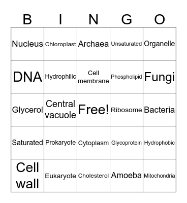 Cell Biology Bingo Card