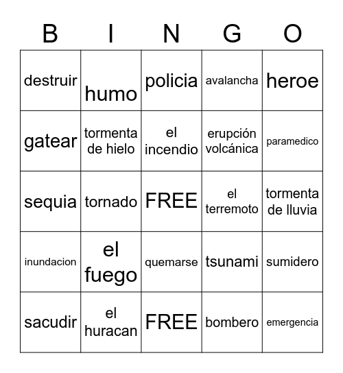 Desastres Naturales Bingo Card