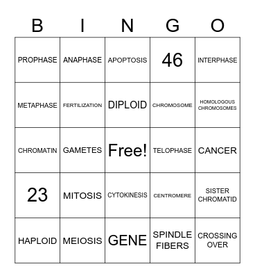 CELL DIVISION Bingo Card