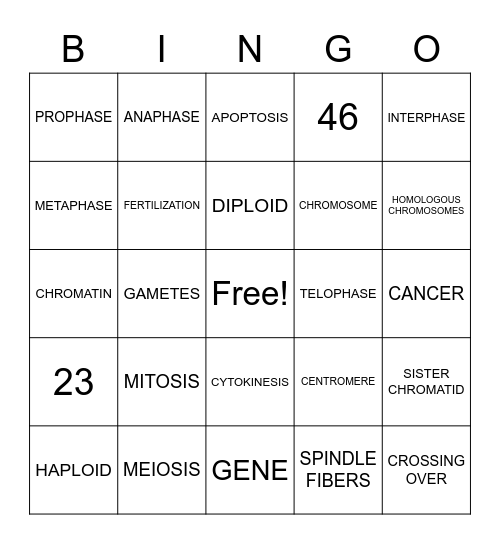 CELL DIVISION Bingo Card