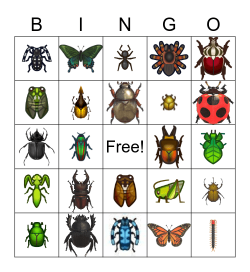 Rainforest Insect BINGO Card