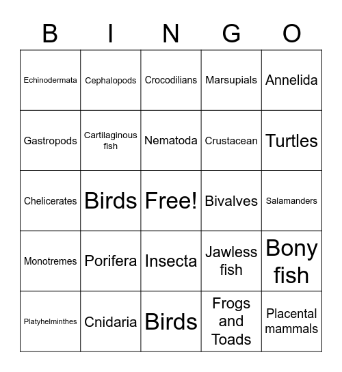 Animal Phylum Bingo Card