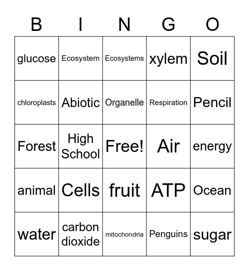 Bio Bridge Bingo Card