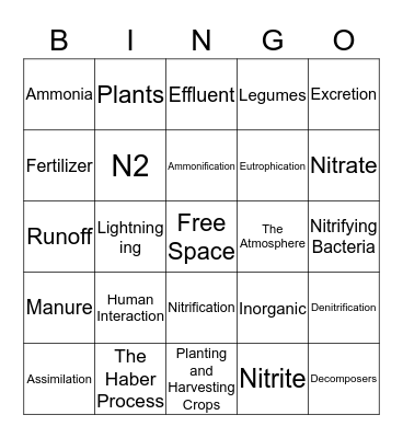 Nitrogen Bingo Card