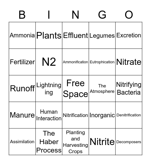 Nitrogen Bingo Card