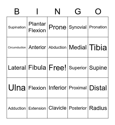 Skeletal System Bingo Card
