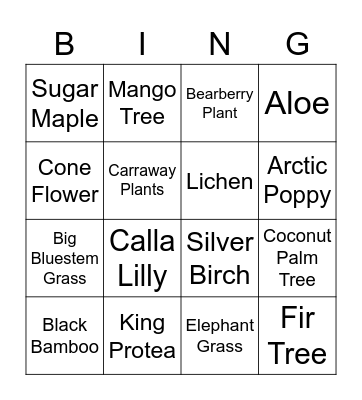 Plants from around the world Bingo Card