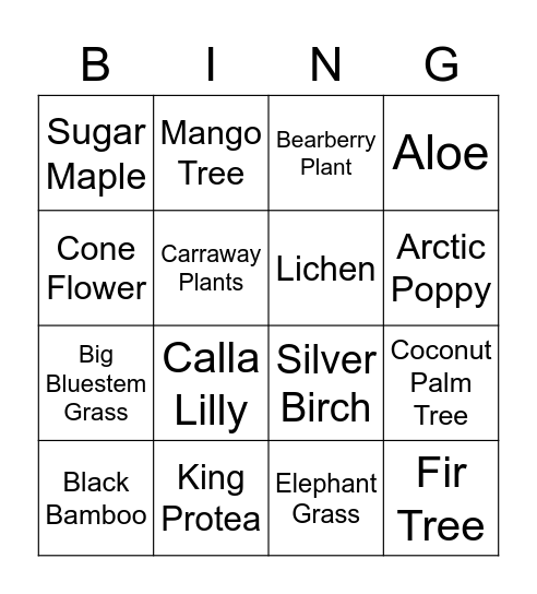Plants from around the world Bingo Card