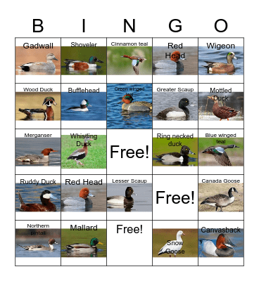 Waterfowl Bingo Card