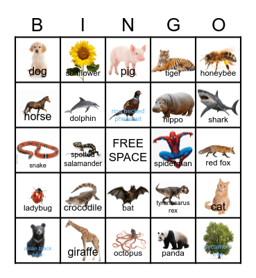 B I O D I V E R S I T Y Bingo Card