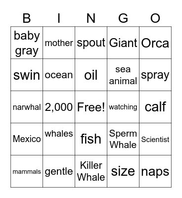 Whales: Gentle Giants Bingo Card
