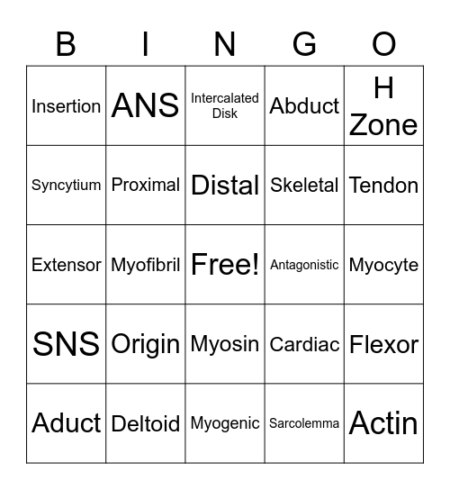 Muscular System Bingo Card