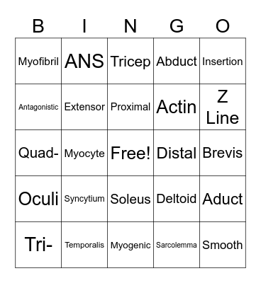 Muscular System Bingo Card